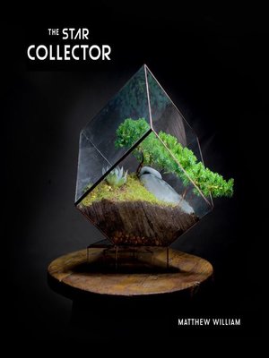 cover image of The Star Collector